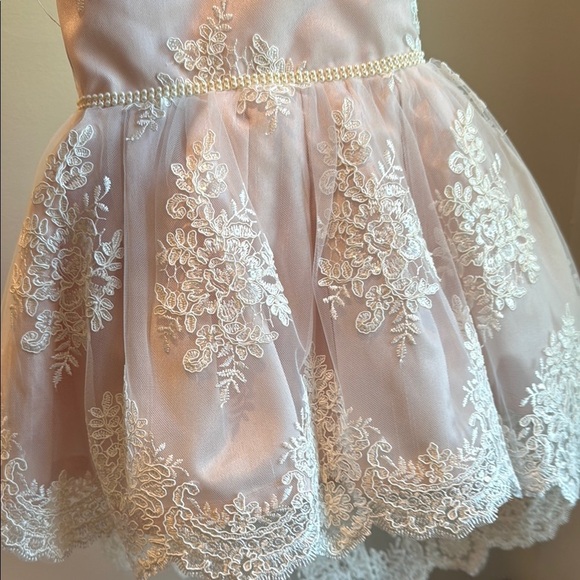 12 Months Sequin and Lace Pink Dress with Floral Embroidery Train Pearl Belt - Picture 16 of 16
